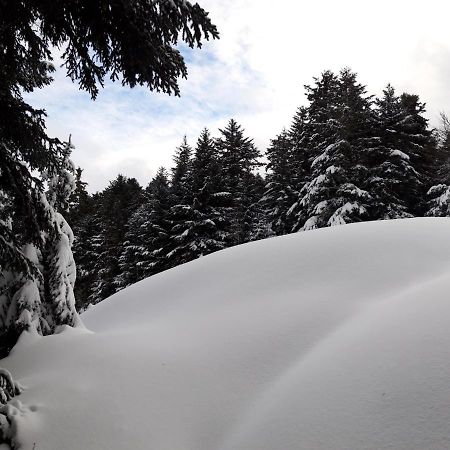 Apartament Pyrenees - Le Nid D'Ax Ax-les-Thermes Zewnętrze zdjęcie