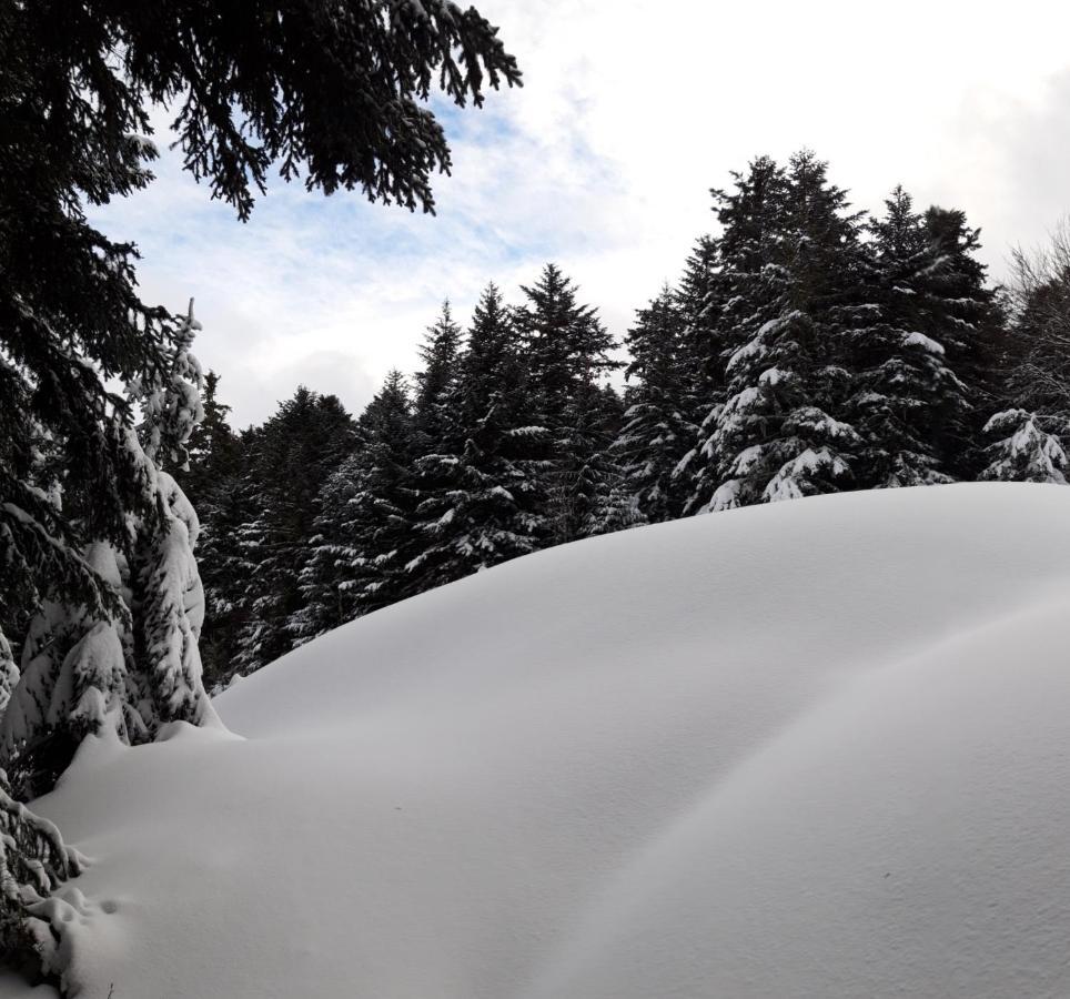 Apartament Pyrenees - Le Nid D'Ax Ax-les-Thermes Zewnętrze zdjęcie